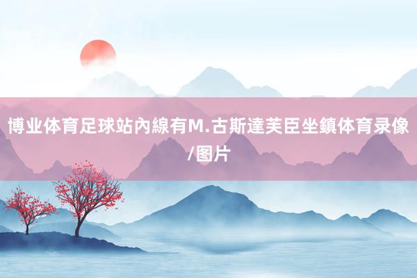 博业体育足球站內線有M.古斯達芙臣坐鎮体育录像/图片