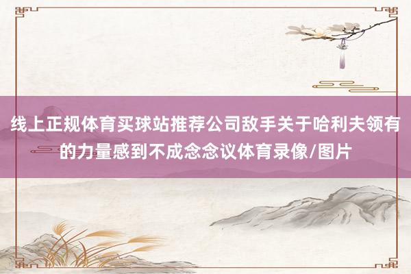 线上正规体育买球站推荐公司敌手关于哈利夫领有的力量感到不成念念议体育录像/图片