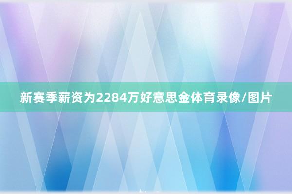 新赛季薪资为2284万好意思金体育录像/图片